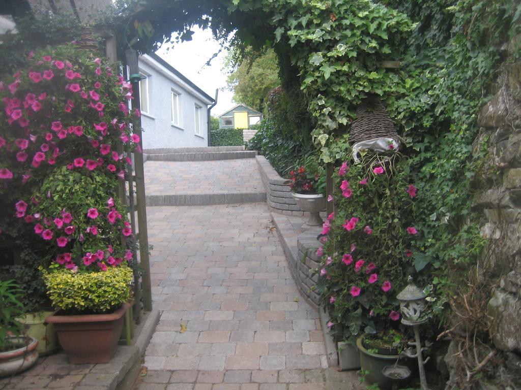 Ashleigh House Bed & Breakfast Monaghan Dış mekan fotoğraf