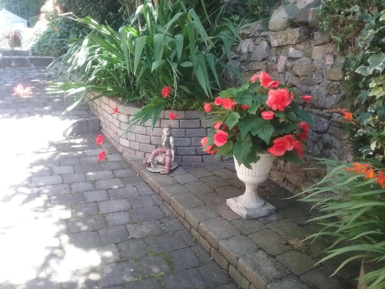 Ashleigh House Bed & Breakfast Monaghan Dış mekan fotoğraf